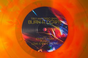 Burn It Down (13)